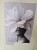 tshirt off pink bianko 1.jpeg